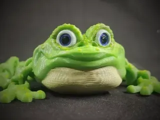 CUTE FLEXI PRINT-IN-PLACE TOAD