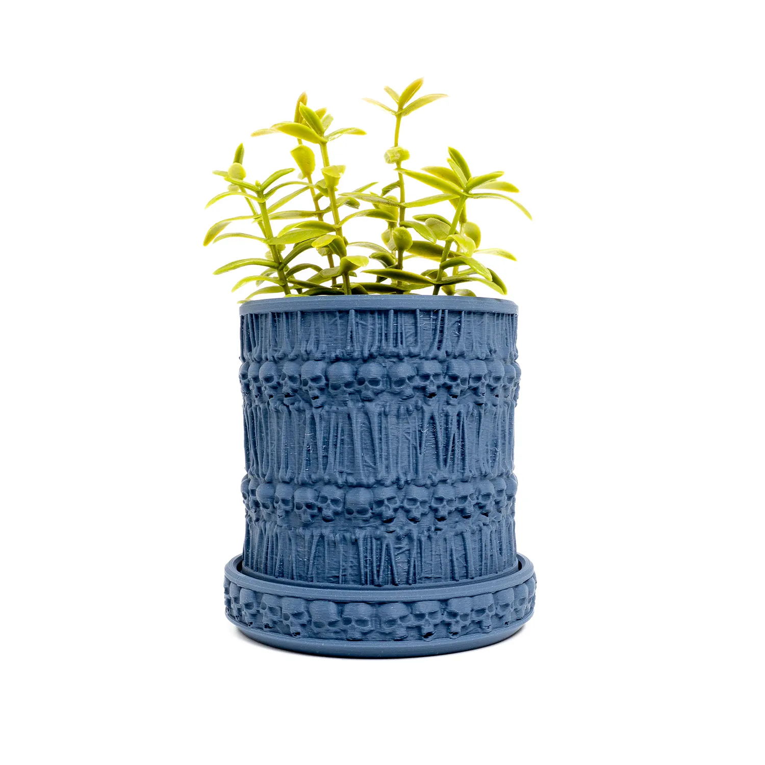 Skull Planters