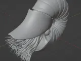 Nautilus-2