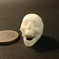 Punk skeleton-1-3