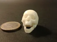 Punk skeleton-1-3