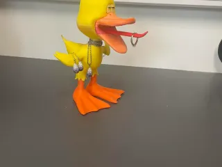 Shiny Ducky