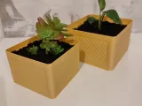 Planter-5