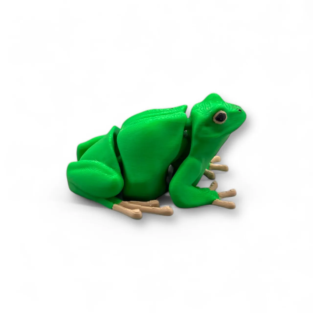 Flexy Frog - The Articulating Pond Hopper