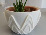 Pot Interior Decor W-1
