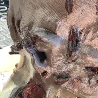 Rotter zombie-2