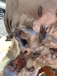 Rotter zombie-2