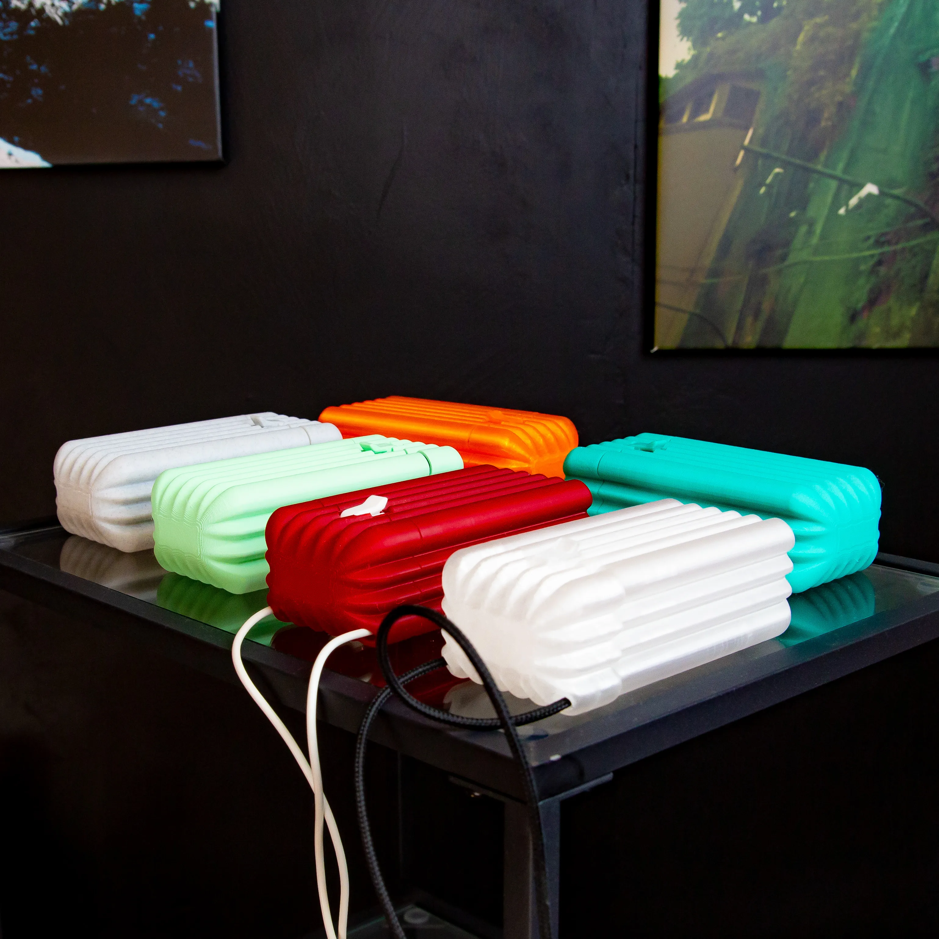 glasses case