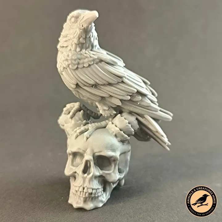 Raven on demon skull
