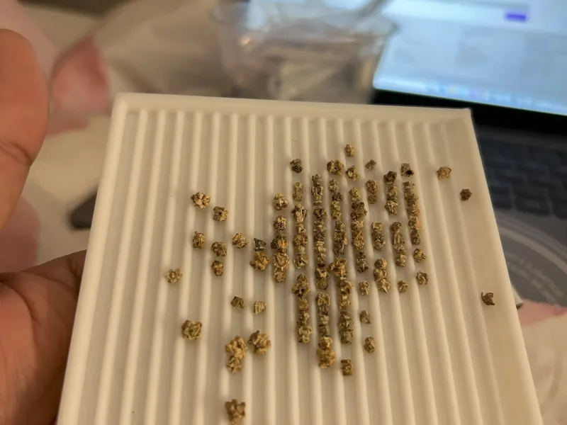 Seed Sowing tray for easy handling