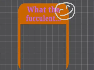What The Fucculent - Funny Plant Pot Decoration