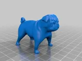 Pug-0