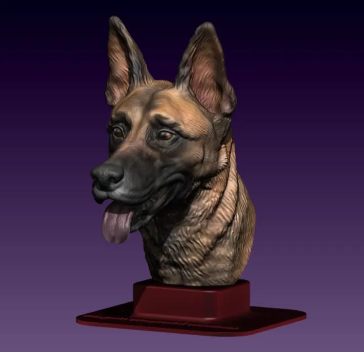 BELGIAN MALINOIS DOG BUST WITH BASE