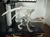 Dragon-0