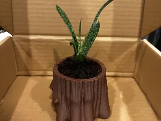 Tree trunk pot