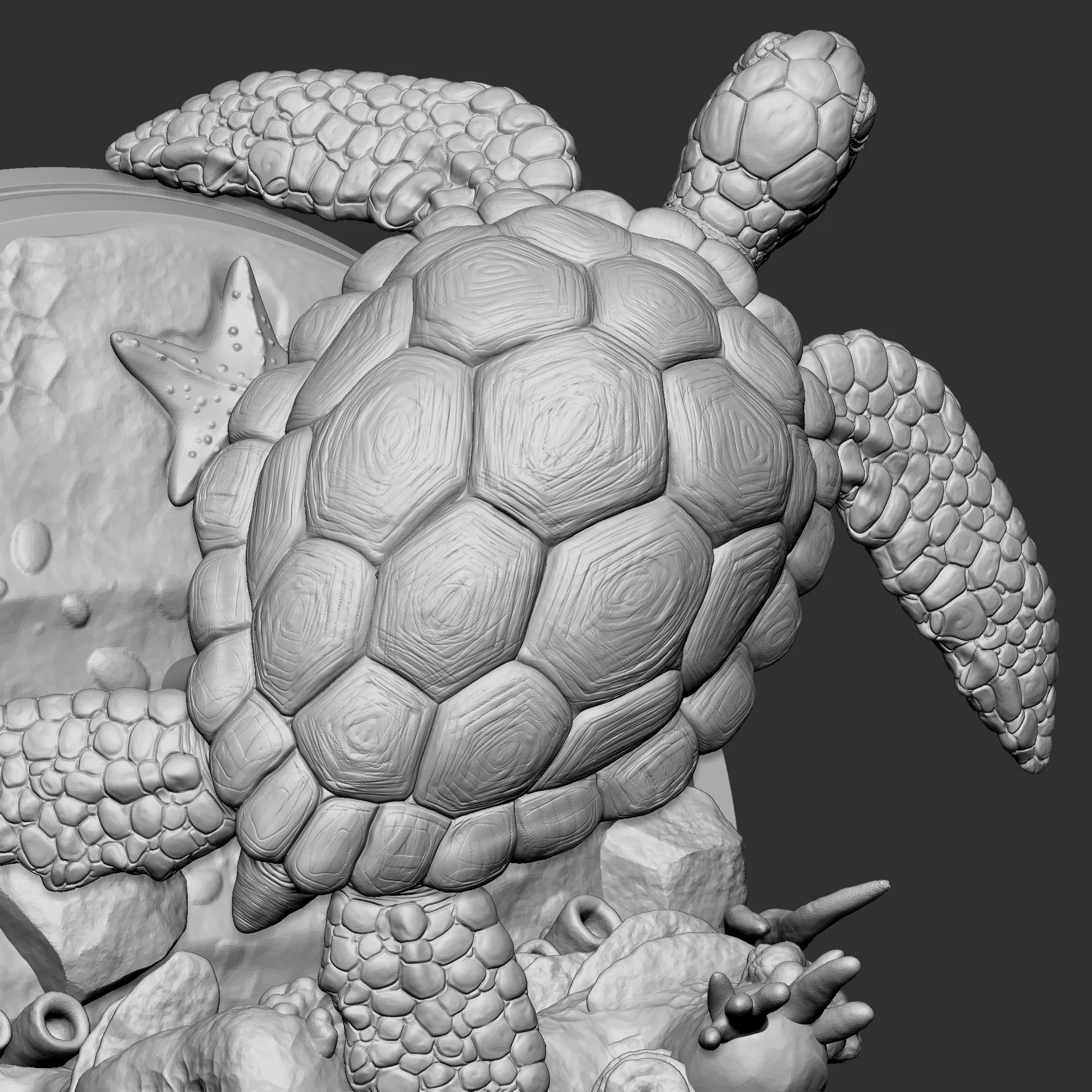 Green sea turtle 3D print model