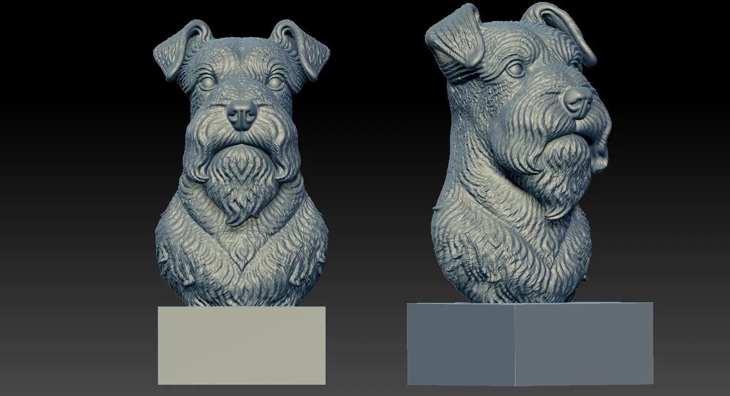 Miniature Schnauzer - Dwarf Schnauzer Dog model - 3D print