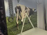 Vinyl Shelf Stand V4-0