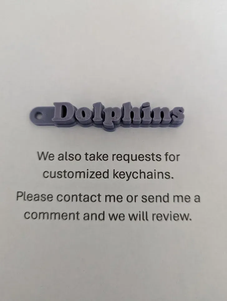 Miami Dolphins Sleutelhanger