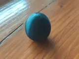 Egg collection-6