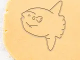 Fish Cookie Cutter, Biscuit Cutter-0