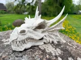Dragon SKULL-5