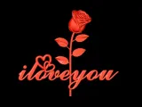 Rose I Love You Valentines Day-0