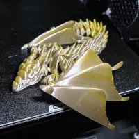 Silver Dragon-5