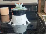happy booty planter-1