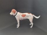 Pointer/American Foxhound-2