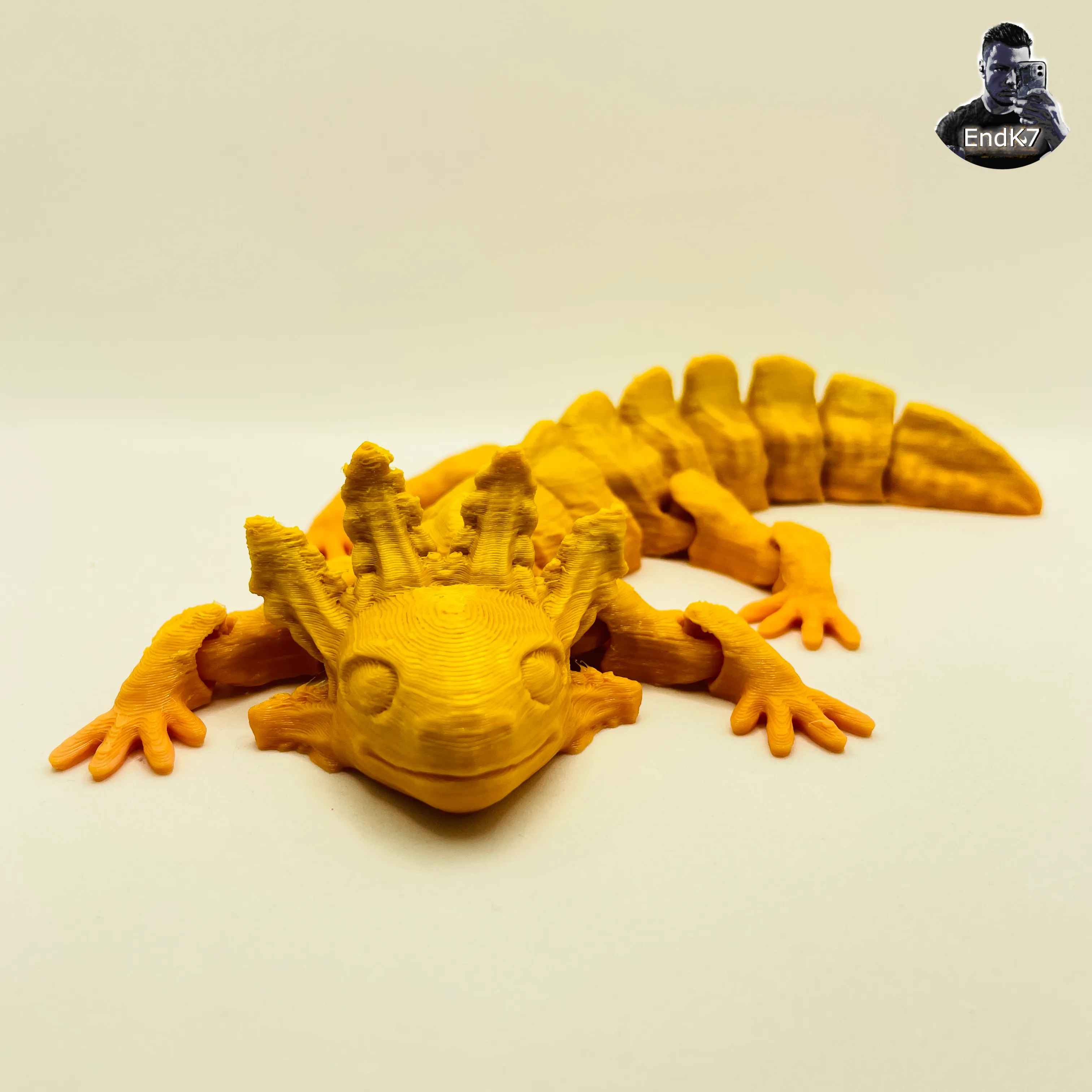 Very Cute Axolotl - Articulated - No Supports