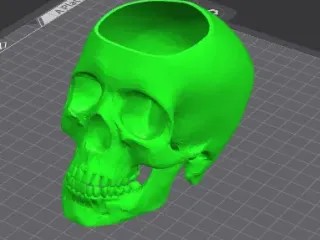 Skull plant pot