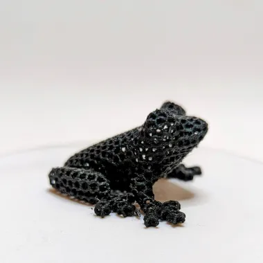 Voronoi Frog Ornament-1