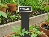 Tomato Plant Sign-1