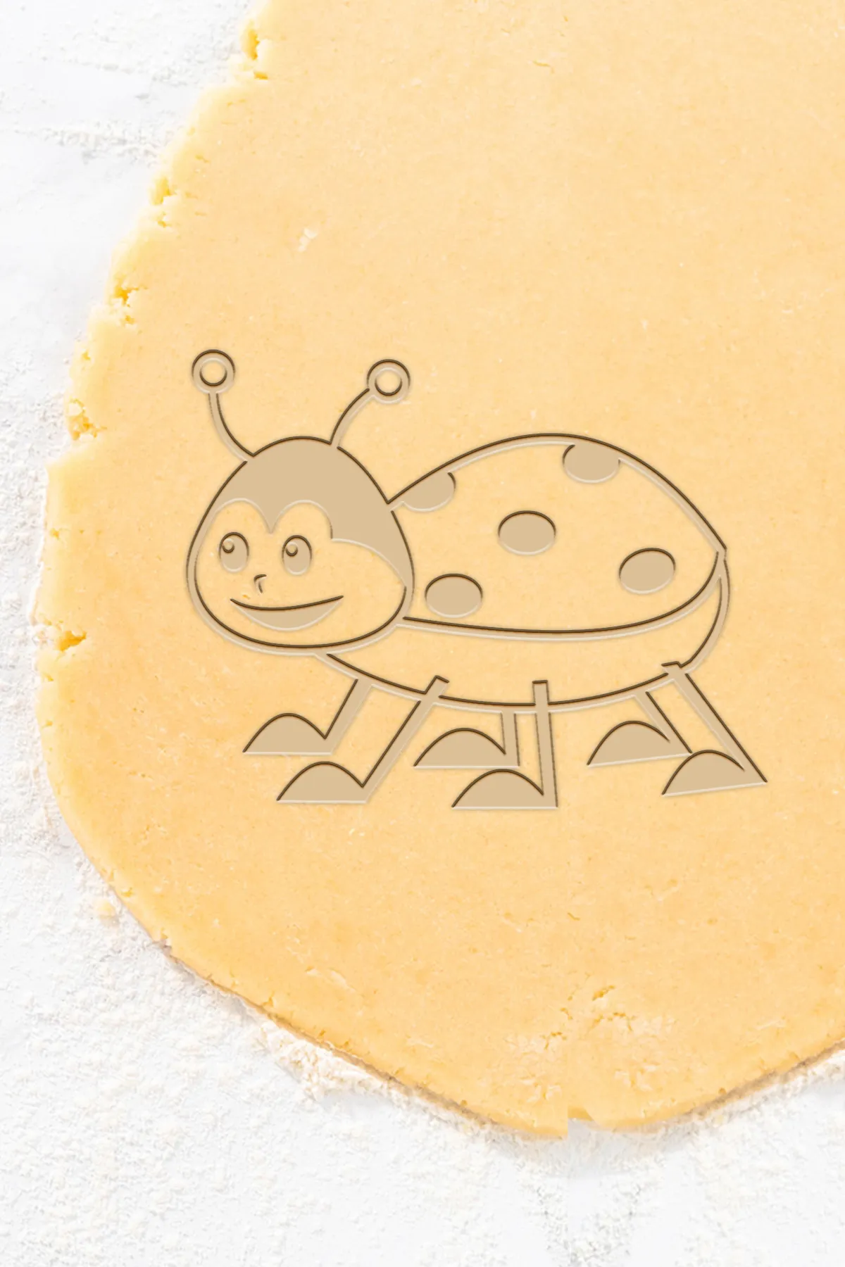 Ladybird Cookie Cutter, Biscuit Cutter