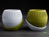 fatiado · vaso de plantas-1