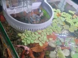 Aquarium Items-3
