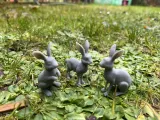 Wild hares-2