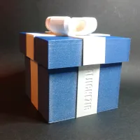 RibbonLock Gift Box-0
