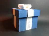 RibbonLock Gift Box-0