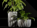 Fioriere minimaliste di Polymeria-3