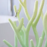 Coral Stand-1