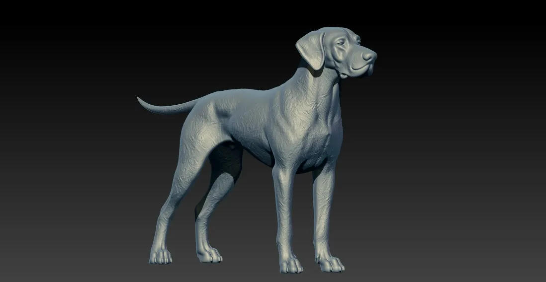 The Afador Breed model - 3D print