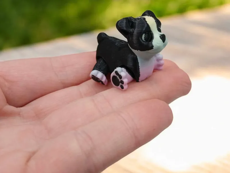 Boston Terrier Pup Articulated
