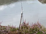 Fishing rod holder-1