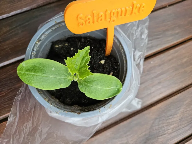 Señales de planta