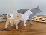 3D Dog Kit Card-1