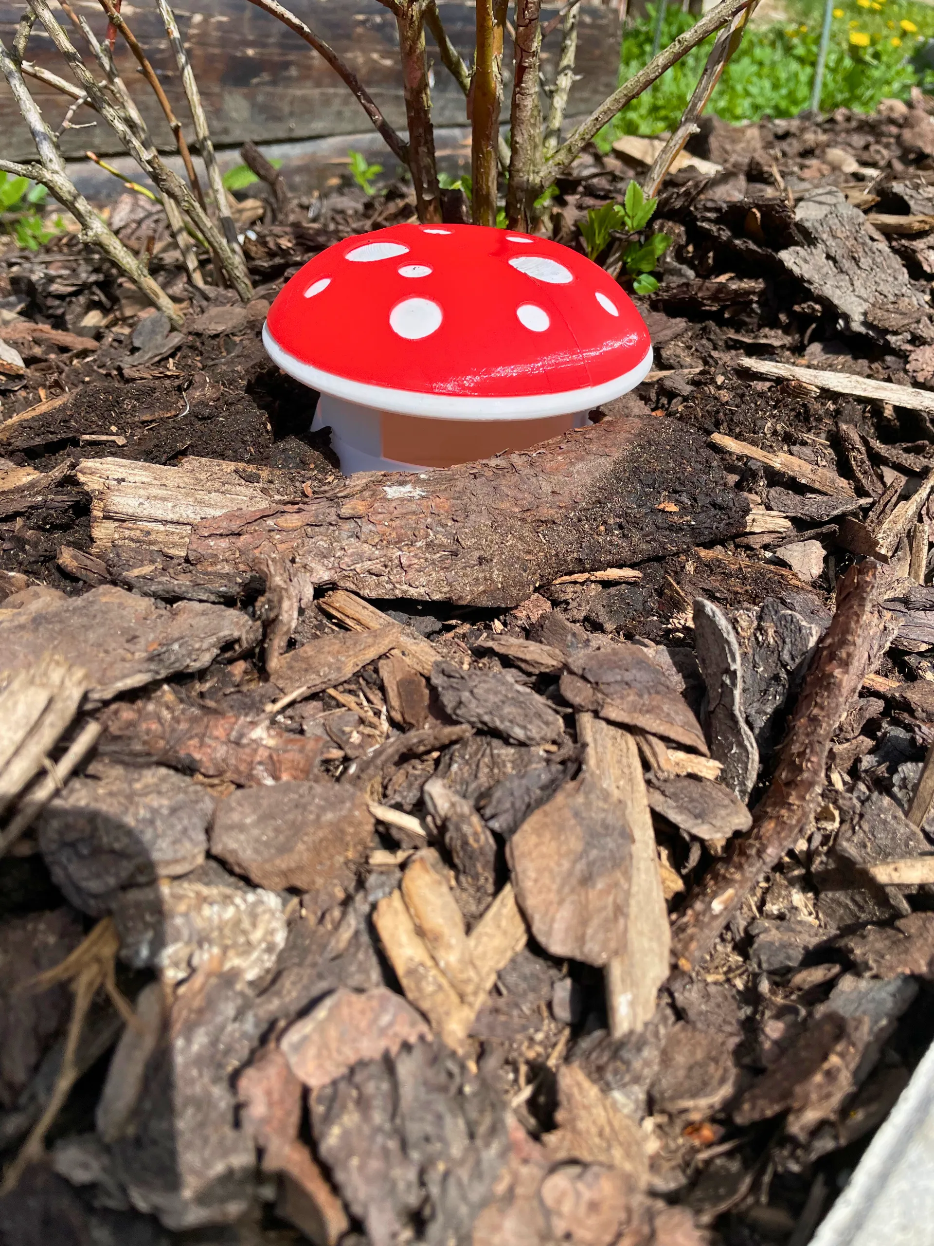 Mushroom Snail Trap – Cute Garden Protector