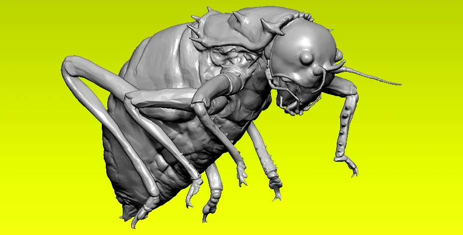 Insect-cricket model - 3D print