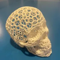 Voronoi-style Skull with no supports-2